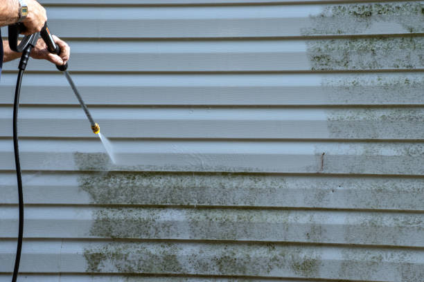 Best Aluminum Siding Installation  in Ashwaubenon, WI
