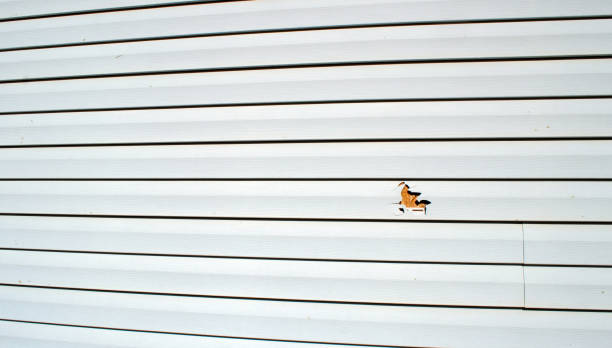 Reliable Ashwaubenon, WI Siding Installation & Repair Solutions
