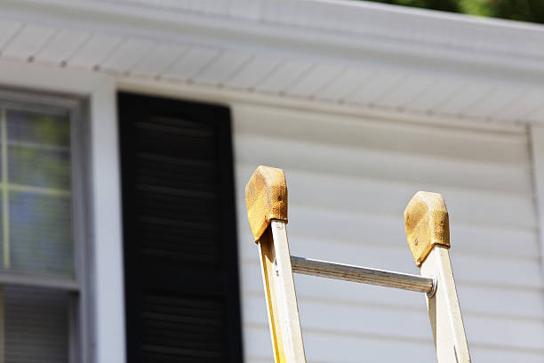 Best Storm Damage Siding Repair  in Ashwaubenon, WI